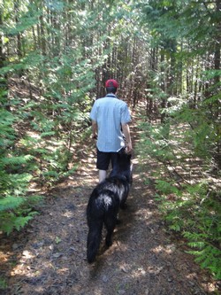 trail in woods